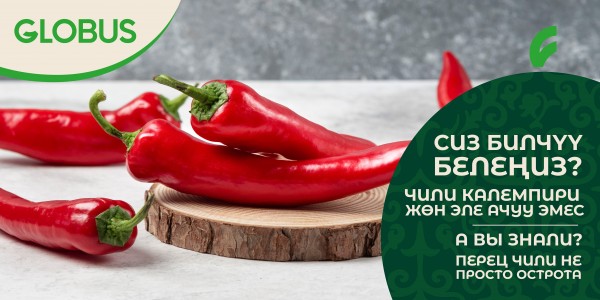 Чили калемпири — бул жөн гана ачуу эмес